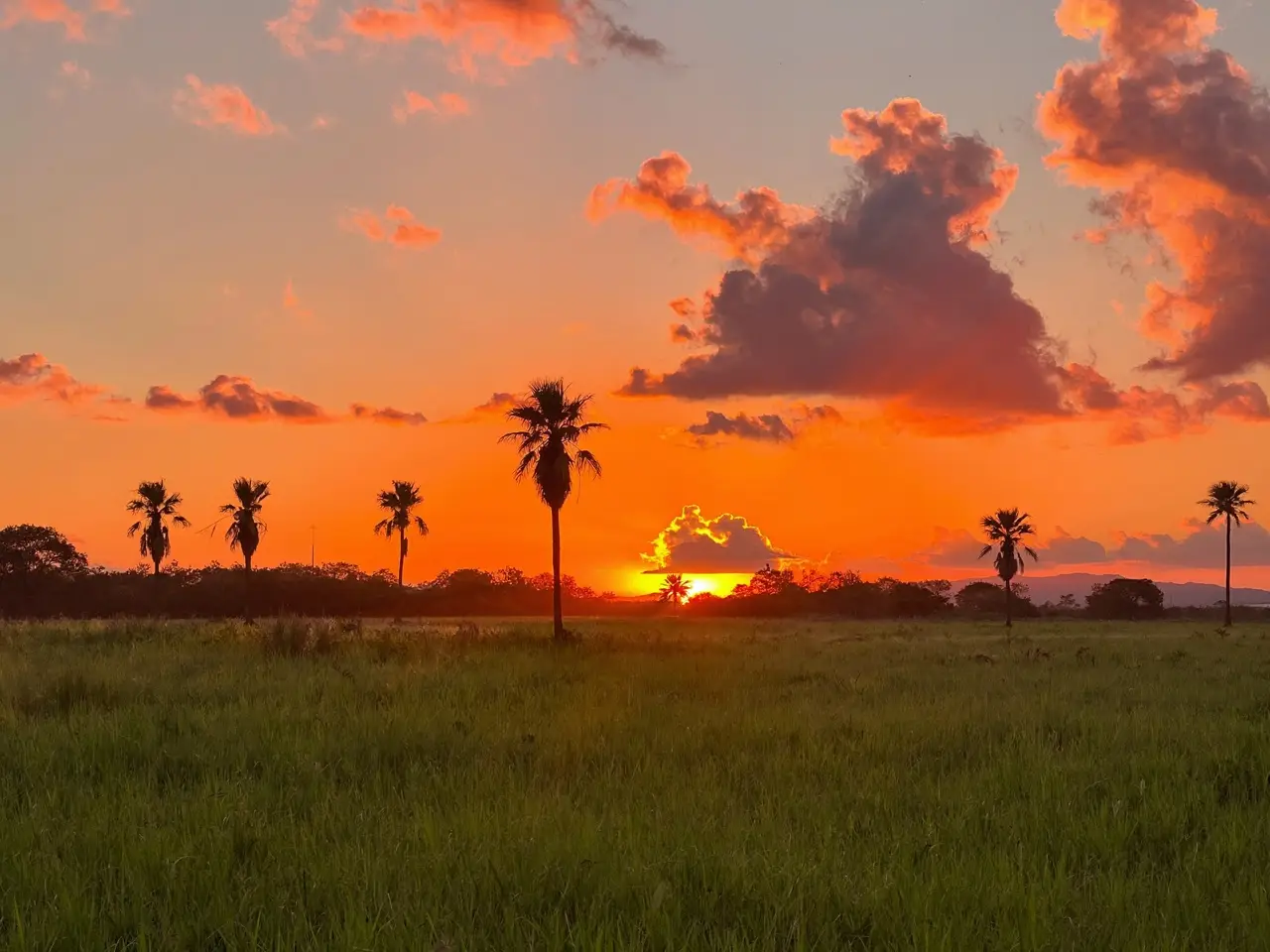 Atardecer sobre terrenos verdes en Formosa